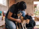 Voluntário cuidando de cão resgatado em ambiente de acolhimento
