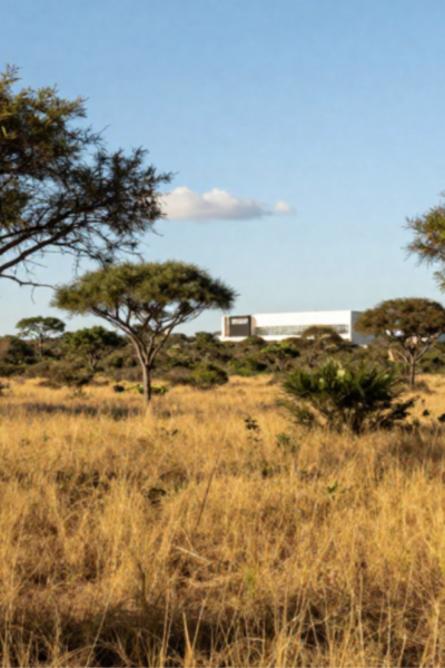 Área de cerrado que pode ter procedimento de queima prescrita controlada na UFSCar São Carlos